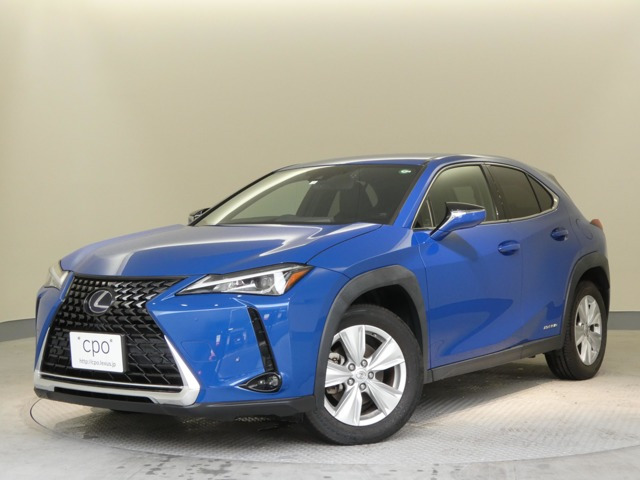 UX250h バージョンC