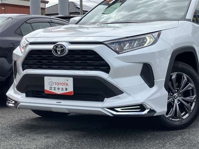 RAV42.0 X