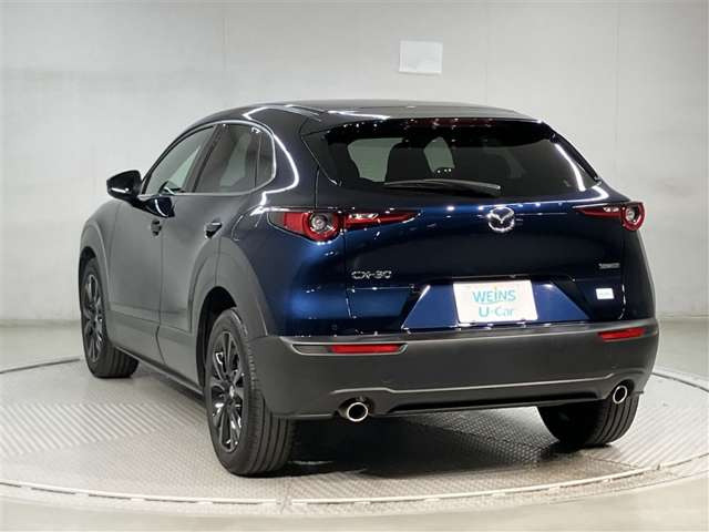 CX-302.0 20S