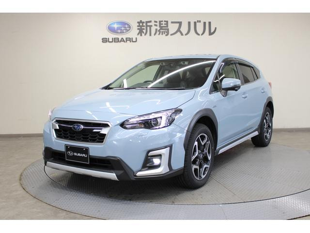 XV