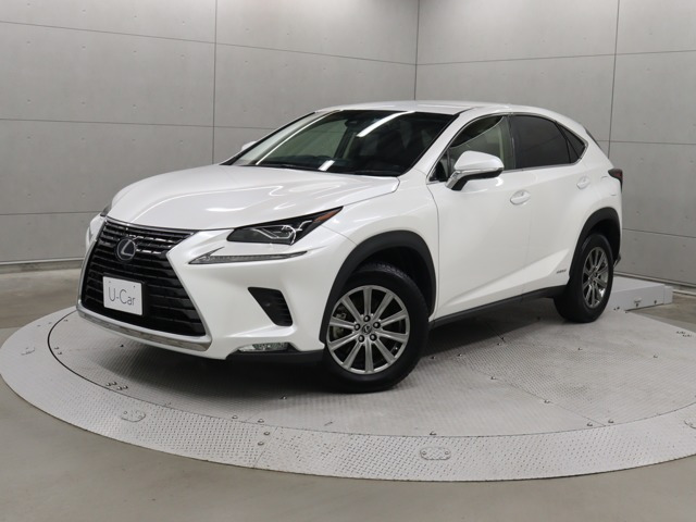 NX300h Iパッケージ