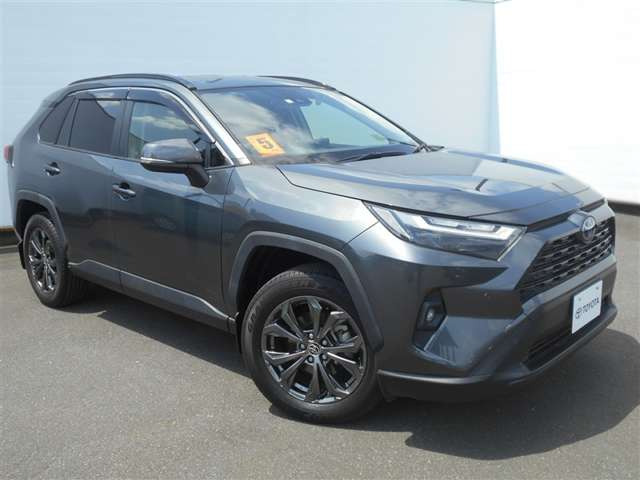 RAV42.5 ハイブリッド X