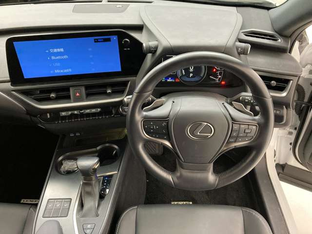 UX250h バージョンC