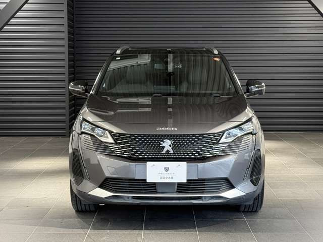 3008GT