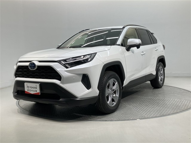 RAV42.5 ハイブリッド X
