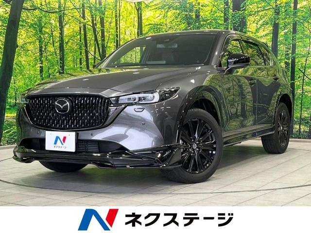 CX-5�i�}�c�_�j2.2 XD �X�|�[�c�A�s�A�����X ���Îԉ摜