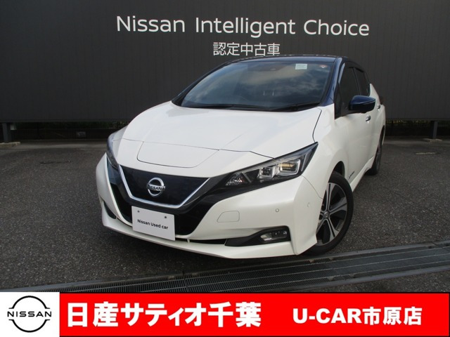 リーフG