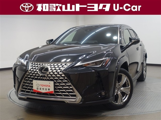UX250h グレイスフル エクスプローラー