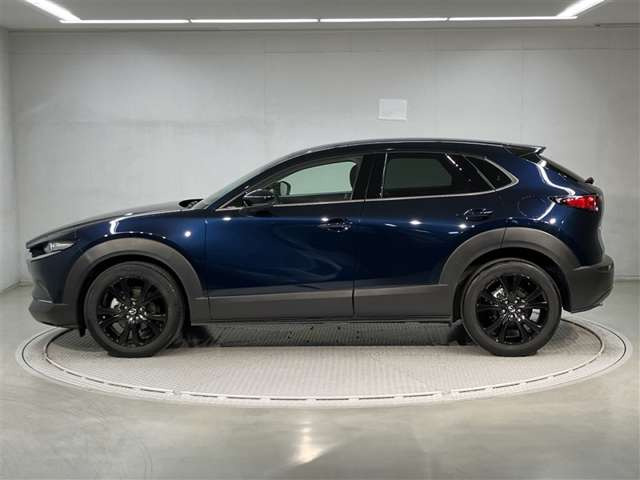 CX-302.0 20S