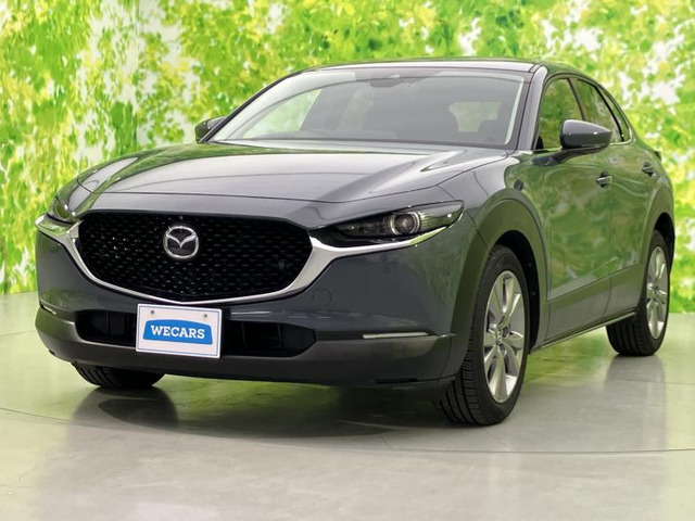 CX-301.8 XD Lパッケージ
