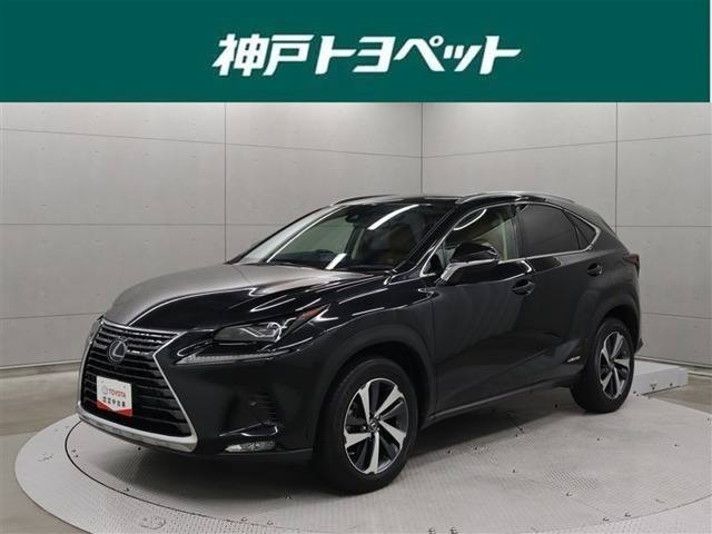NX300h Iパッケージ