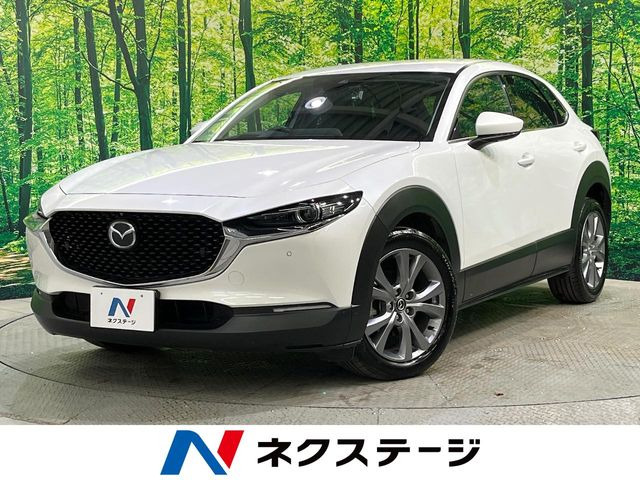 CX-301.8 XD プロアクティブ ツーリングセレクション