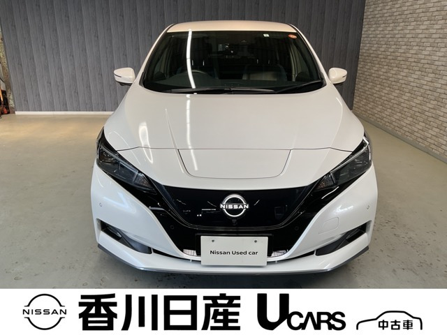リーフe+ G