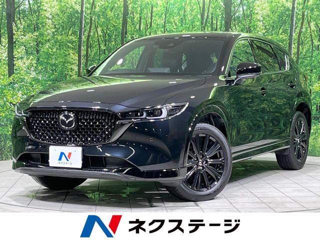 CX-5�i�}�c�_�j2.2 XD �X�|�[�c�A�s�A�����X ���Îԉ摜