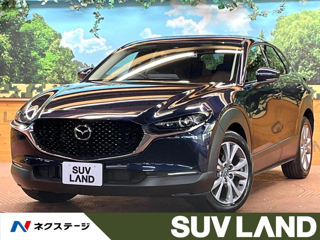 CX-30�i�}�c�_�j2.0 20S �v���A�N�e�B�u �c�[�����O�Z���N�V���� ���Îԉ摜