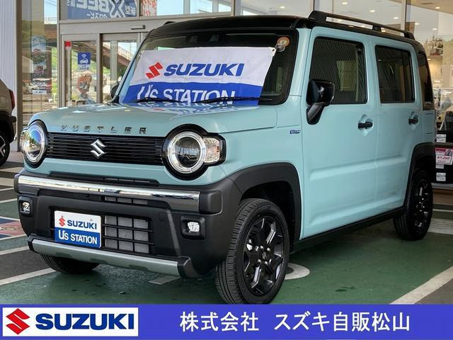 ハスラータフワイルド