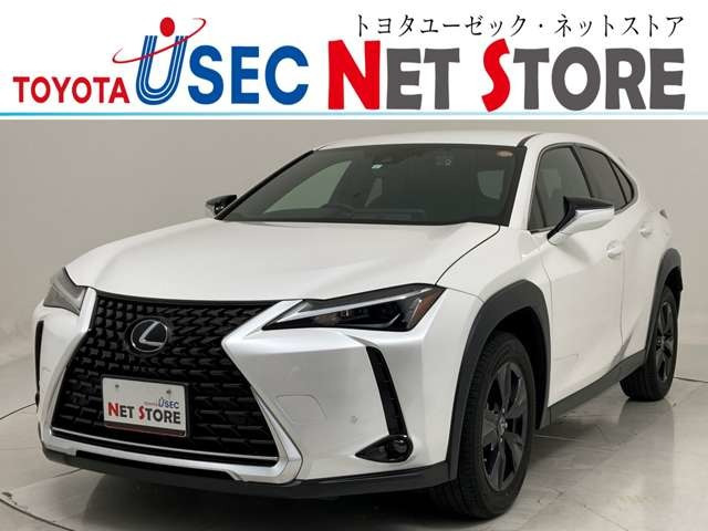 UX250h バージョンC