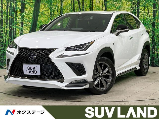 NX�i���N�T�X�j300h F�X�|�[�c ���Îԉ摜