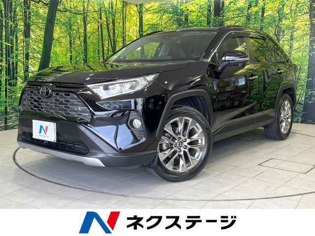 RAV42.0 G Zパッケージ 4WD