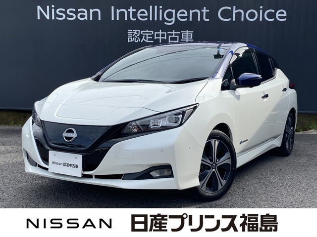 リーフG