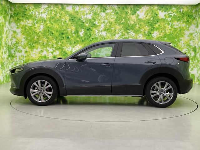 CX-301.8 XD Lパッケージ