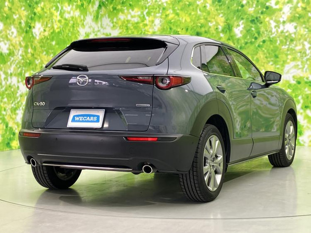 CX-301.8 XD Lパッケージ