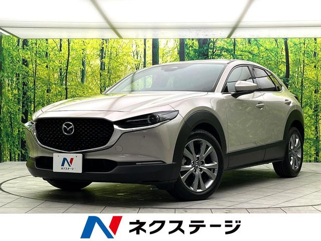 CX-30�i�}�c�_�j2.0 20S �v���A�N�e�B�u �c�[�����O�Z���N�V���� ���Îԉ摜