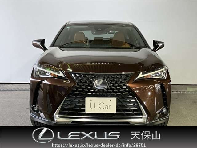 UX250h バージョンC