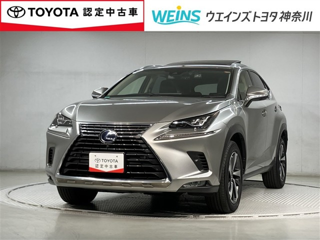 NX300h Iパッケージ