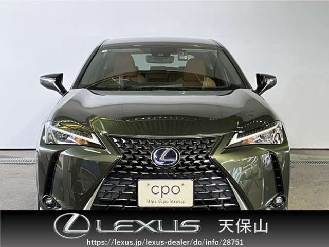 UX250h バージョンC