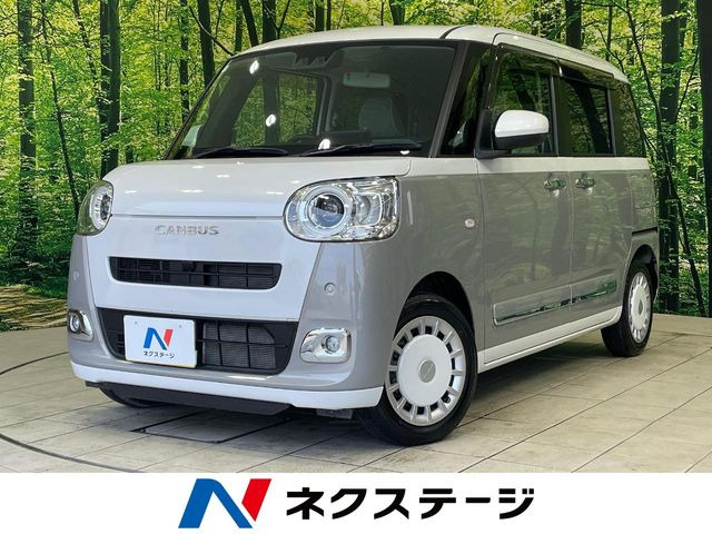 ムーヴキャンバスストライプス G