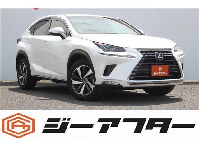 NX�i���N�T�X�j300h �o�[�W����L�@�։��� ����10.3�C���`�i�r �t���Z�OTV ���Îԉ摜