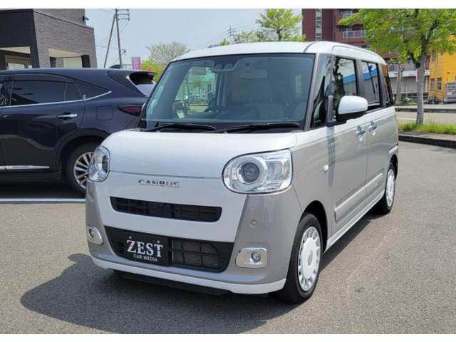 ムーヴキャンバスストライプス G