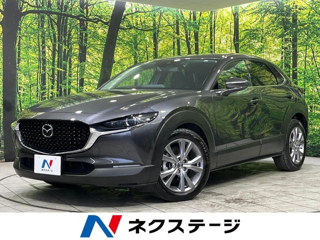 CX-30�i�}�c�_�j2.0 20S L�p�b�P�[�W ���Îԉ摜