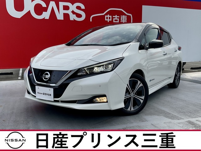 リーフX