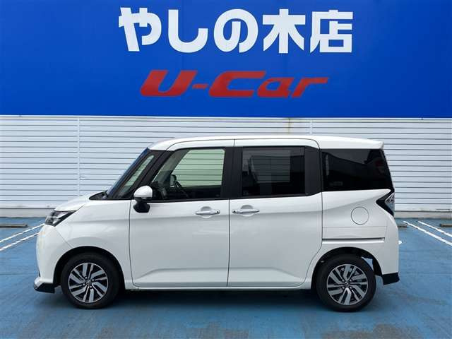 タンク1.0 カスタム G