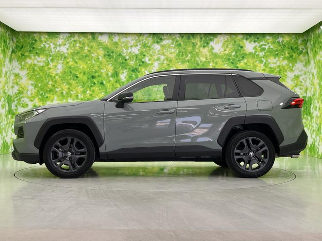RAV42.0 アドベンチャー 4WD