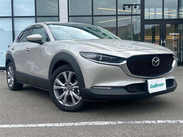 CX-301.8 XD Lパッケージ