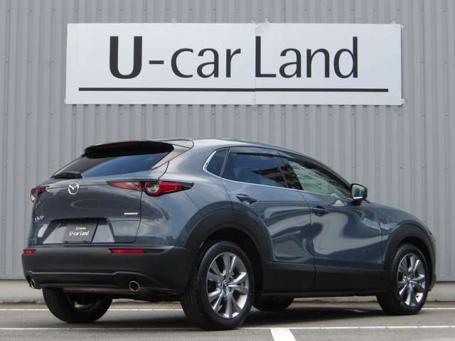 CX-301.8 XD プロアクティブ