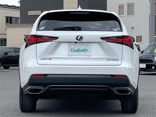 NX300 Iパッケージ 4WD