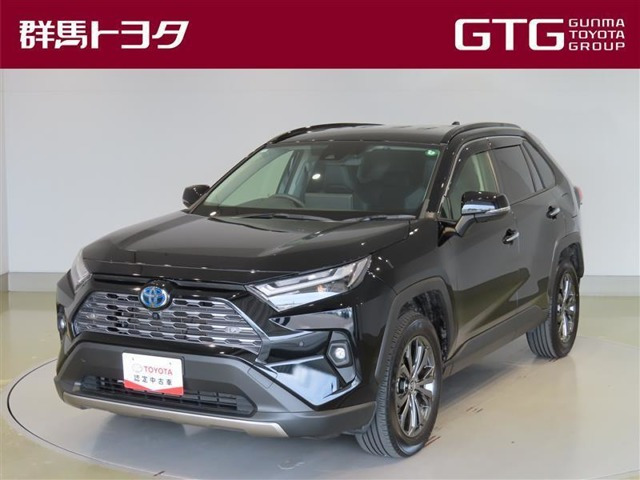 RAV42.5 ハイブリッド G E-Four 4WD