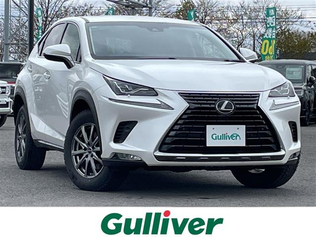 NX300 Iパッケージ 4WD