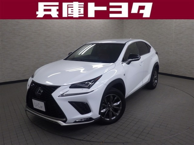 NX300h Fスポーツ