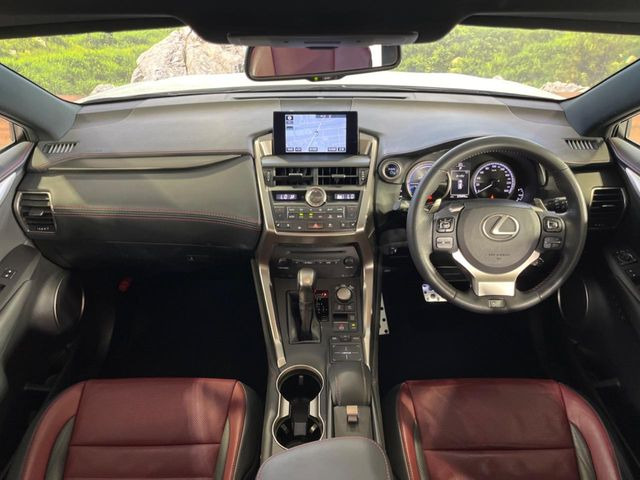 NX300h Fスポーツ