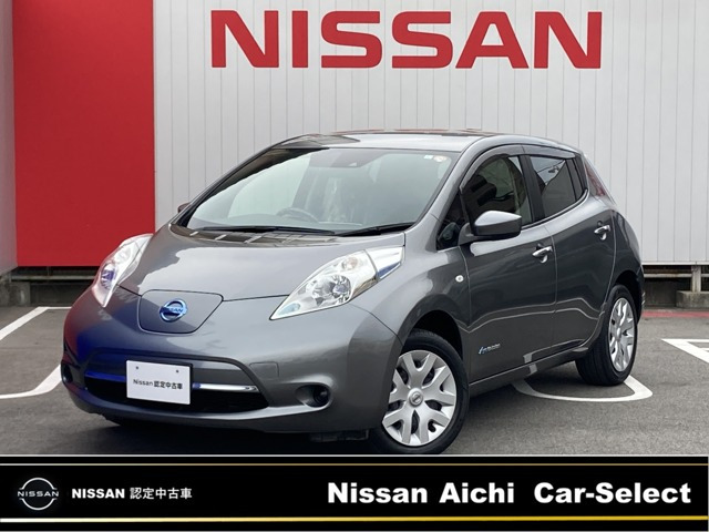 リーフ30kWh X