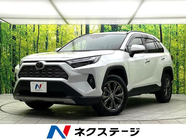 RAV4(トヨタ) 2.5 ハイブリッド G E-Four 4WD 中古車画像