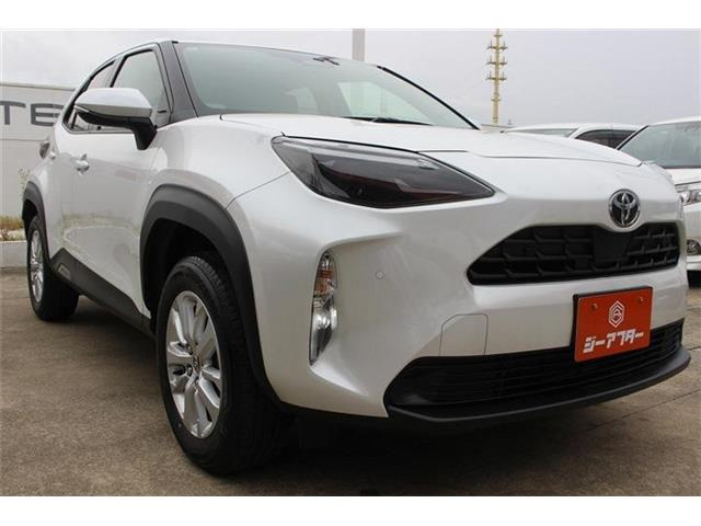 �̔��͂����X���������邨�q�l����ł��B���Ǝҗl�ւ̔̔��͂��f�肳���Ă��������܂��B�Ԍ������ԗ��̏ꍇ�́A�Ԍ����擾�������x�������z�ŕ\�����Ă���܂��B