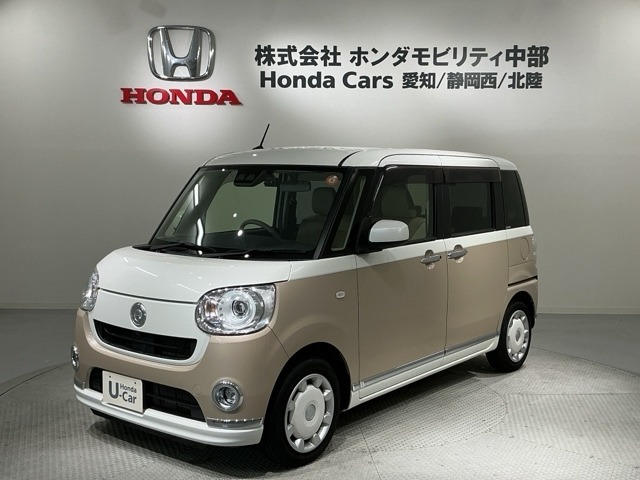 ムーヴキャンバスG メイクアップ SAIII