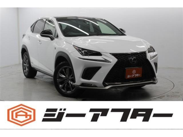 NX�i���N�T�X�j300h F�X�|�[�c�@��� �։��� �p�m���}���[�t ���v�V�[�g ���Îԉ摜