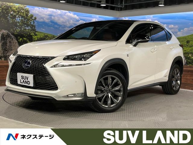 NX300h Fスポーツ